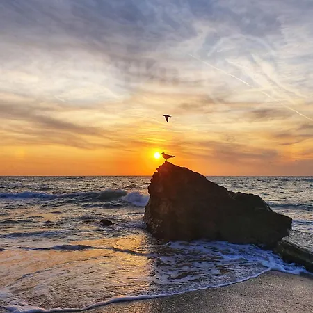 Luxury Sea View With Access - Parking & Heated Pool Apartment Varna